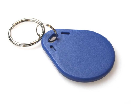 EM4200 125KHz PVC Read-Only Key Fobs - Blue (Pack of 100)